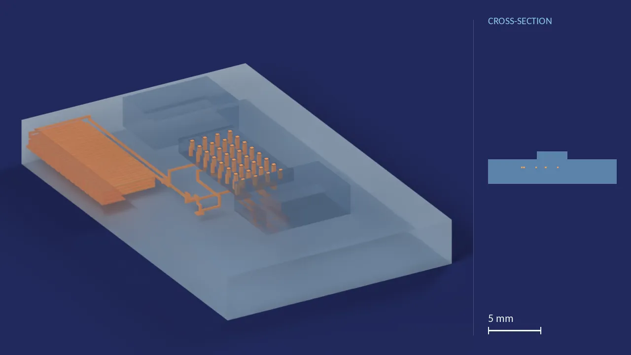 Caffeine Urinalysis Chip. A computer render of the design, not a photograph: its body drawn see-through, its channels in orange. The chip is 19.4 mm × 12.2 mm × 3.8 mm. Beside it, its cross-section across the middle.