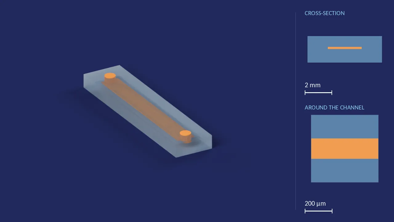 Straight-channel chip, 150 × 2500 µm, 20 mm long. A computer render of the design, not a photograph: its body drawn see-through, its channels in orange. The chip is 24.5 mm × 5.5 mm × 1.95 mm. Beside it, its cross-section across the middle, and a 500 µm window around the channel, which is 2.5 mm wide and 150 µm deep there.