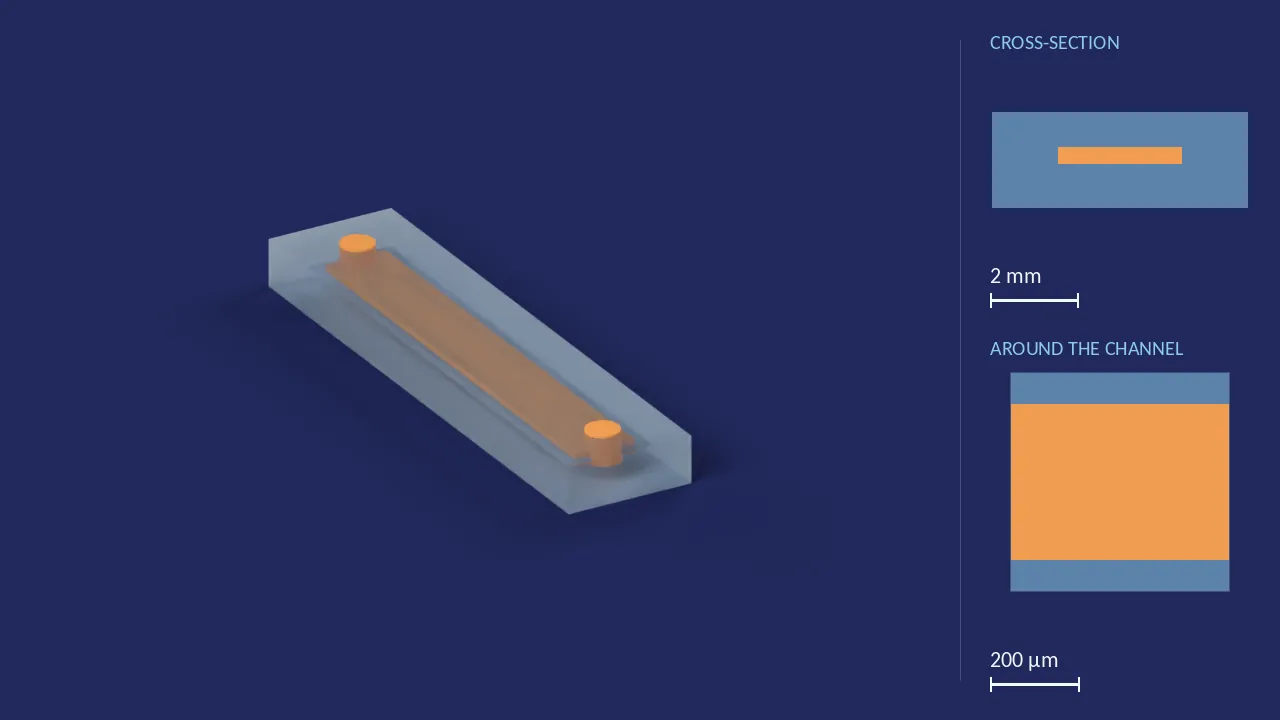 Straight-channel chip, 350 × 2775 µm, 20 mm long. A computer render of the design, not a photograph: its body drawn see-through, its channels in orange. The chip is 24.5 mm × 5.78 mm × 2.15 mm. Beside it, its cross-section across the middle, and a 500 µm window around the channel, which is 2.77 mm wide and 350 µm deep there.