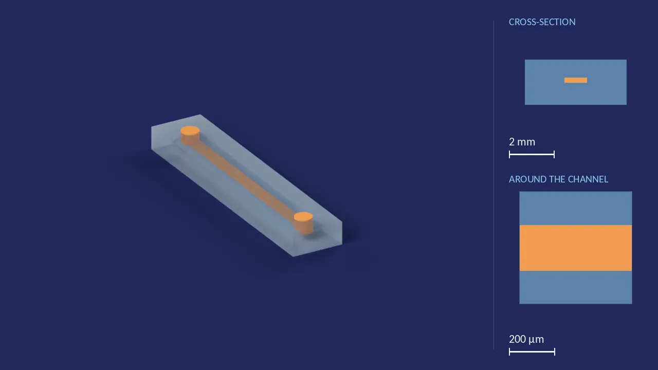 200 × 1000 µm, 18 mm long — 1 of 16 channels (Fluidic 152). A computer render of the design, not a photograph: its body drawn see-through, its channels in orange. The chip is 22.5 mm × 4.5 mm × 2 mm. Beside it, its cross-section across the middle, and a 500 µm window around the channel, which is 1 mm wide and 200 µm deep there.