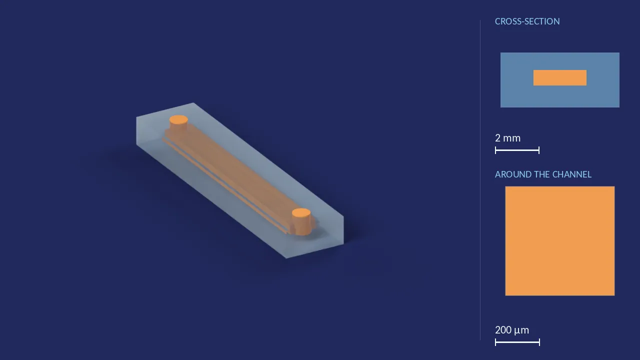 700 × 2400 µm — straight channel (Fluidic 556). A computer render of the design, not a photograph: its body drawn see-through, its channels in orange. The chip is 24.5 mm × 5.4 mm × 2.5 mm. Beside it, its cross-section across the middle, and a 500 µm window around the channel, which is 2.4 mm wide and 700 µm deep there.