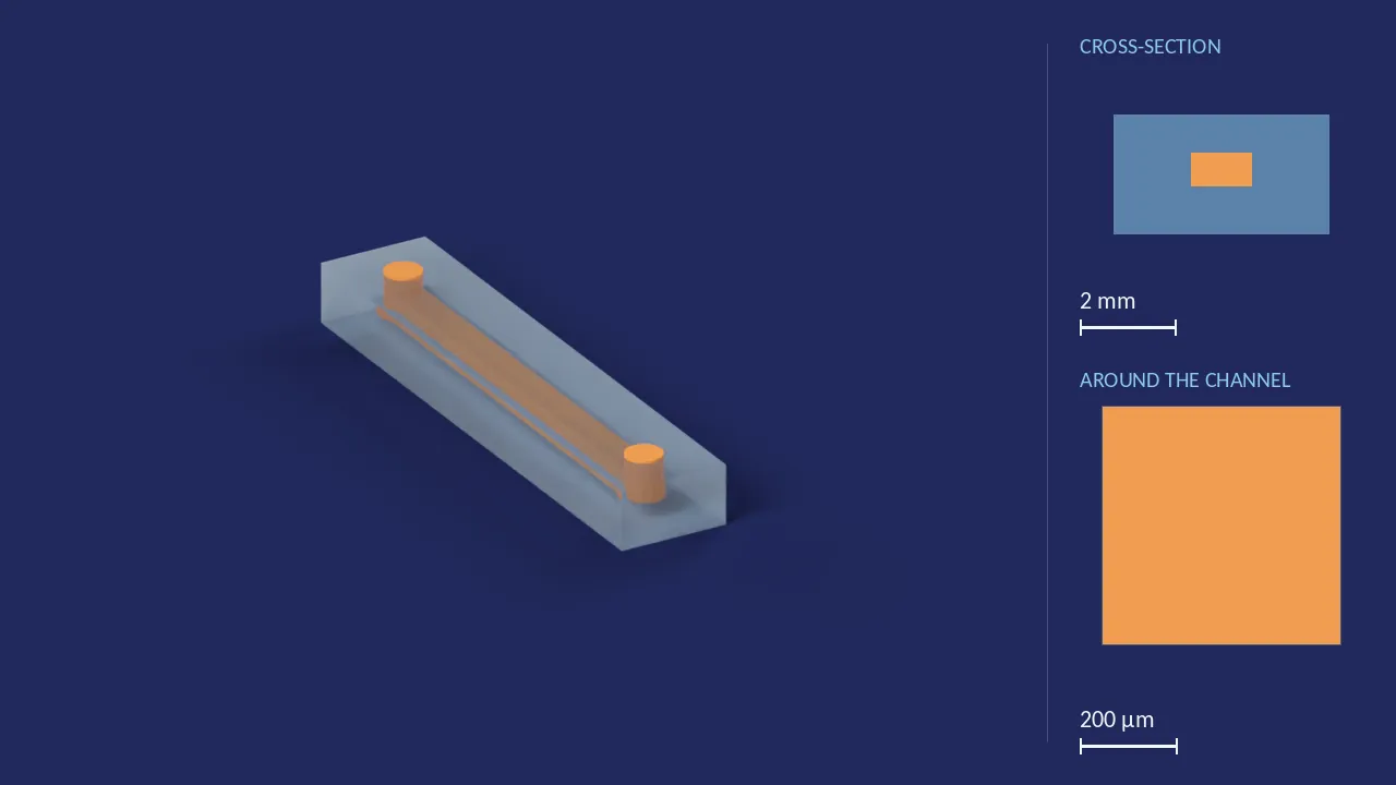 700 × 1250 µm, 18 mm long — 1 of 16 channels (Fluidic 558). A computer render of the design, not a photograph: its body drawn see-through, its channels in orange. The chip is 22.5 mm × 4.5 mm × 2.5 mm. Beside it, its cross-section across the middle, and a 500 µm window around the channel, which is 1.25 mm wide and 700 µm deep there.