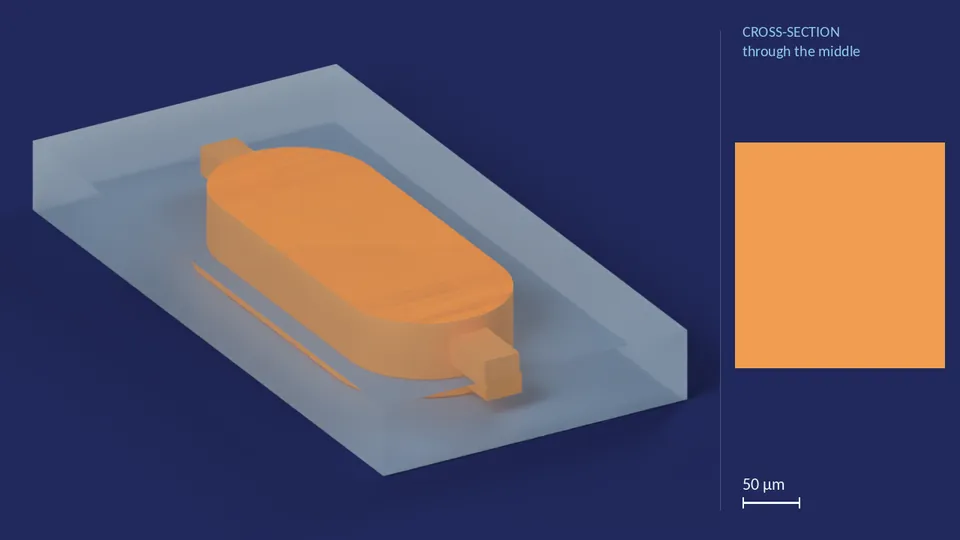 inline_res_100nl. A computer render of the cell's channels, in orange, inside its footprint of 1.82 mm × 912 µm (from its LEF), drawn see-through; not a photograph. Beside it, its cross-section through the middle.