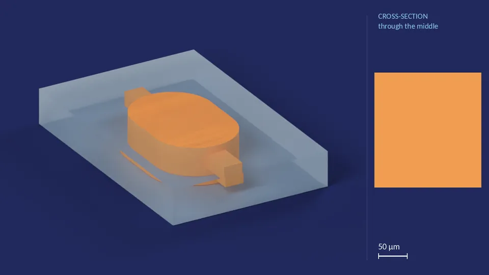 inline_res_60nl. A computer render of the cell's channels, in orange, inside its footprint of 1.37 mm × 912 µm (from its LEF), drawn see-through; not a photograph. Beside it, its cross-section through the middle.