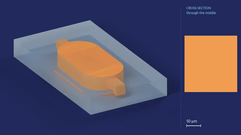 inline_res_80nl. A computer render of the cell's channels, in orange, inside its footprint of 1.6 mm × 912 µm (from its LEF), drawn see-through; not a photograph. Beside it, its cross-section through the middle.