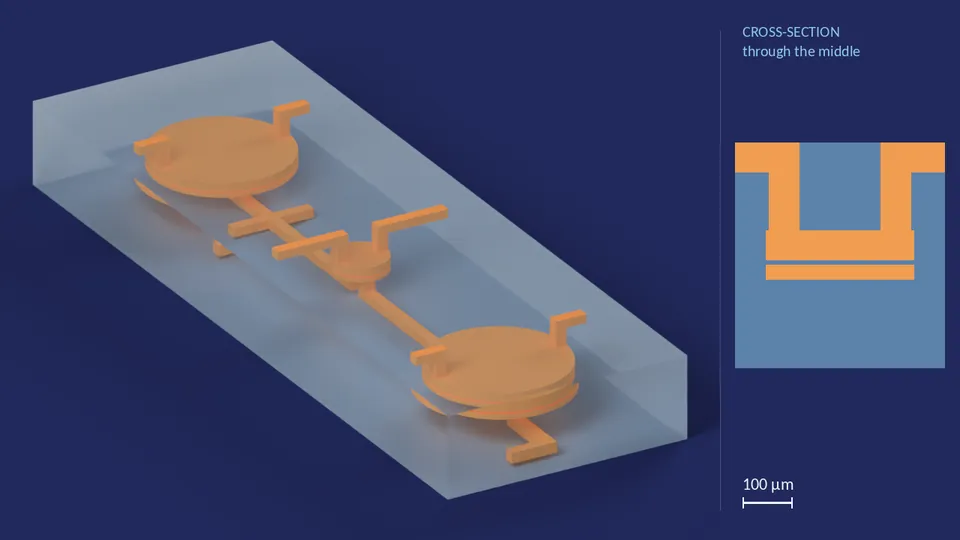 mixer_test. A computer render of the cell's channels, in orange, inside its footprint of 4.1 mm × 1.37 mm (from its LEF), drawn see-through; not a photograph. Beside it, its cross-section through the middle.